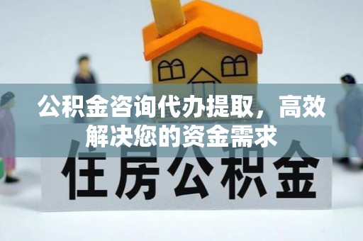 罗甸公积金咨询代办提取，高效解决您的资金需求