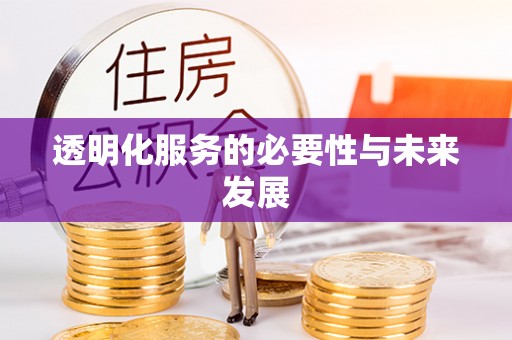 罗甸透明化服务的必要性与未来发展