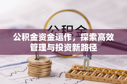 罗甸公积金资金运作，探索高效管理与投资新路径