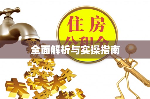 罗甸全面解析与实操指南