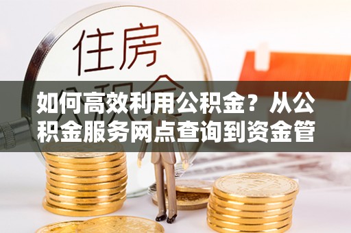 罗甸如何高效利用公积金？从公积金服务网点查询到资金管理全攻略