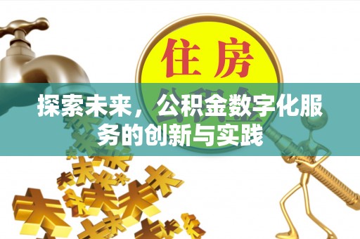 罗甸探索未来，公积金数字化服务的创新与实践