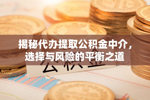 罗甸揭秘代办提取公积金中介，选择与风险的平衡之道