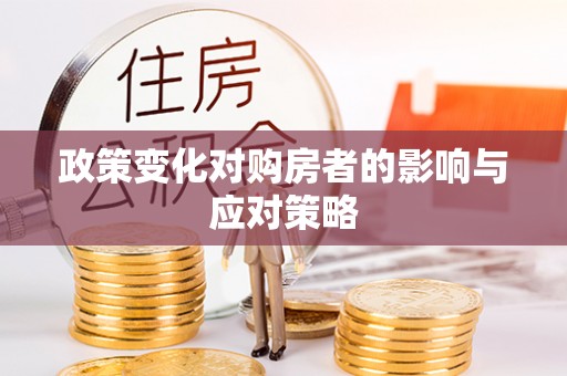 罗甸政策变化对购房者的影响与应对策略