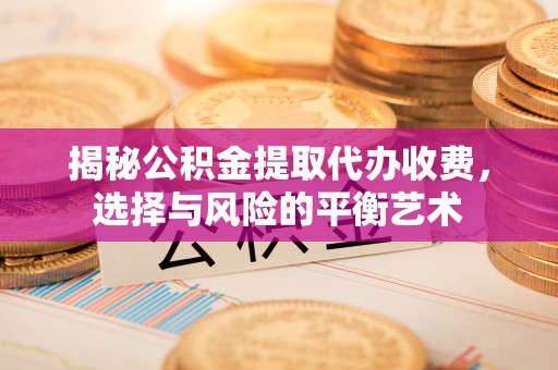 罗甸揭秘公积金提取代办收费，选择与风险的平衡艺术