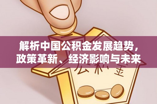 罗甸解析中国公积金发展趋势，政策革新、经济影响与未来展望