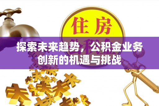 罗甸探索未来趋势，公积金业务创新的机遇与挑战