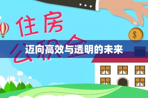 罗甸迈向高效与透明的未来