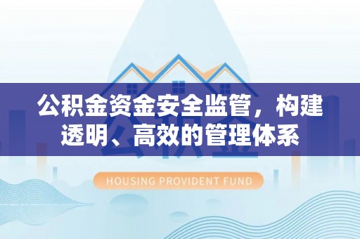罗甸公积金资金安全监管，构建透明、高效的管理体系
