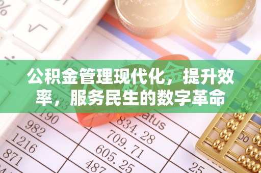 罗甸公积金管理现代化，提升效率，服务民生的数字革命