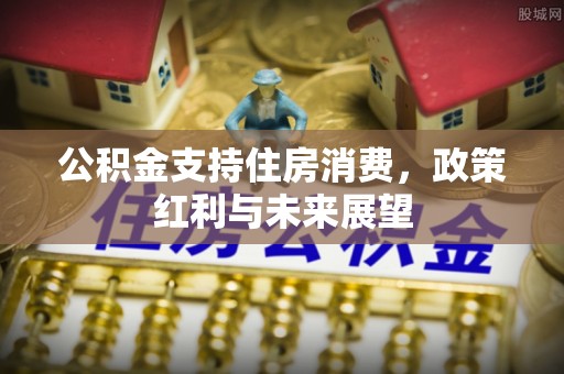 罗甸公积金支持住房消费，政策红利与未来展望