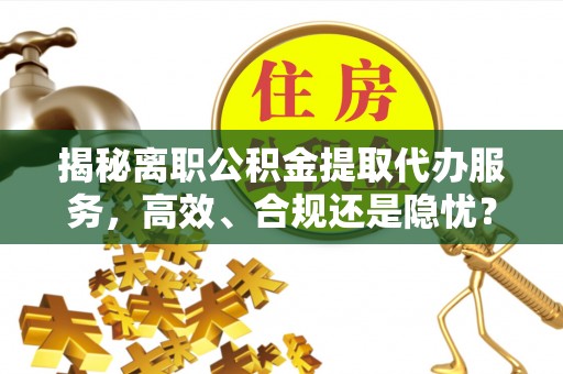 罗甸揭秘离职公积金提取代办服务，高效、合规还是隐忧？