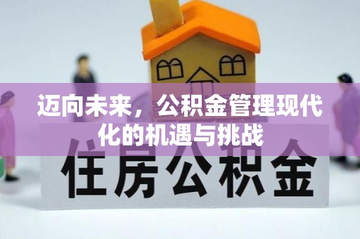 罗甸迈向未来，公积金管理现代化的机遇与挑战