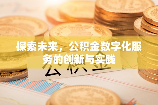 罗甸探索未来，公积金数字化服务的创新与实践