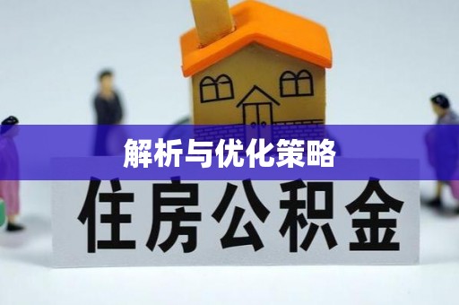 罗甸解析与优化策略