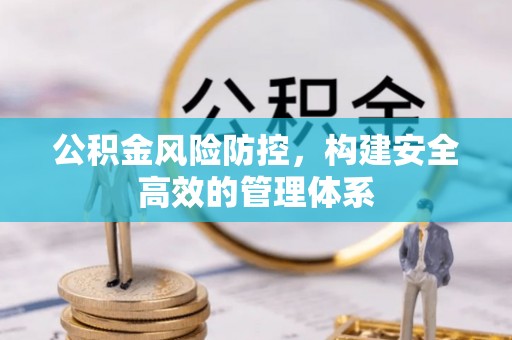 罗甸公积金风险防控，构建安全高效的管理体系