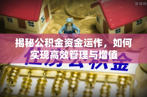 罗甸揭秘公积金资金运作，如何实现高效管理与增值