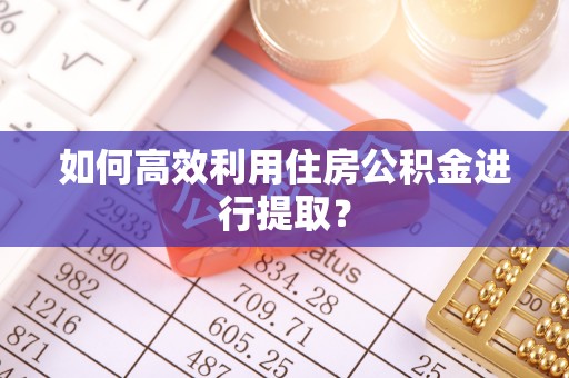 罗甸如何高效利用住房公积金进行提取？