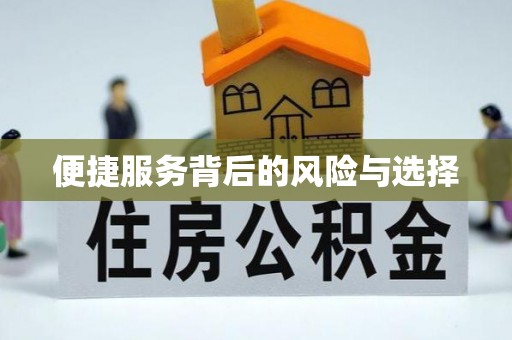 罗甸便捷服务背后的风险与选择