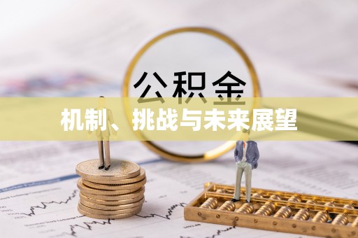 罗甸机制、挑战与未来展望