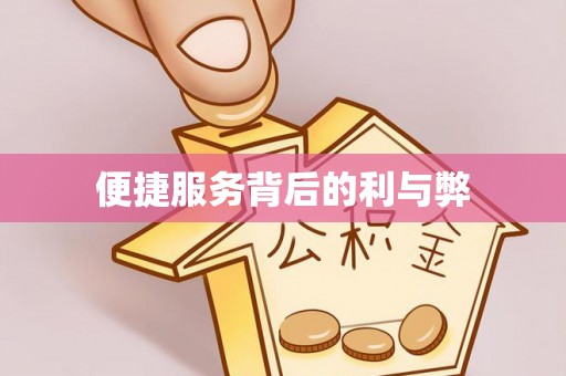 罗甸便捷服务背后的利与弊