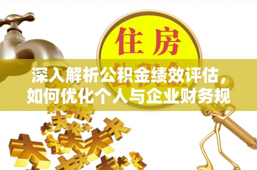 罗甸深入解析公积金绩效评估，如何优化个人与企业财务规划
