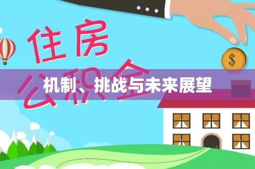 罗甸机制、挑战与未来展望